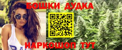 PSILOCYBIN Новозыбков