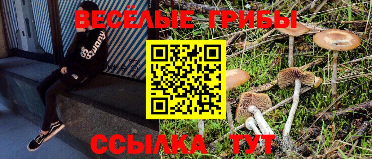 Галлюциногенные грибы прущие грибы  Вход с VPN  Славянск-на-Кубани 