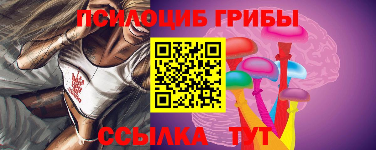 Псилоцибиновые грибы Psilocybine cubensis Славянск-на-Кубани